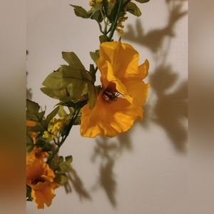 Yellow Poppy Garland 6 ft